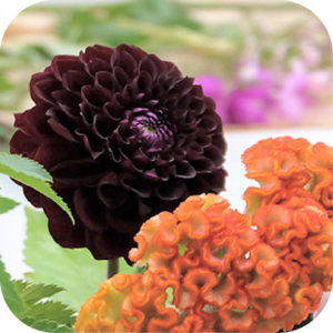 秋のお彼岸を彩るアレンジメントフラワー教室