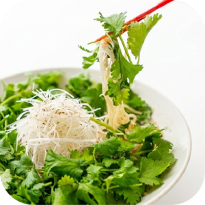 春を彩る、絶品三麺で至福のひととき