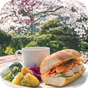 旬を味わう春のお花見ランチプレート